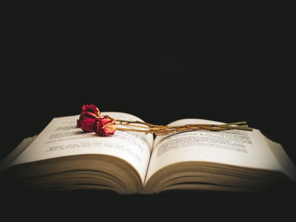 Rose and Book wallpaper 1024x768