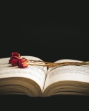 Rose and Book wallpaper 128x160