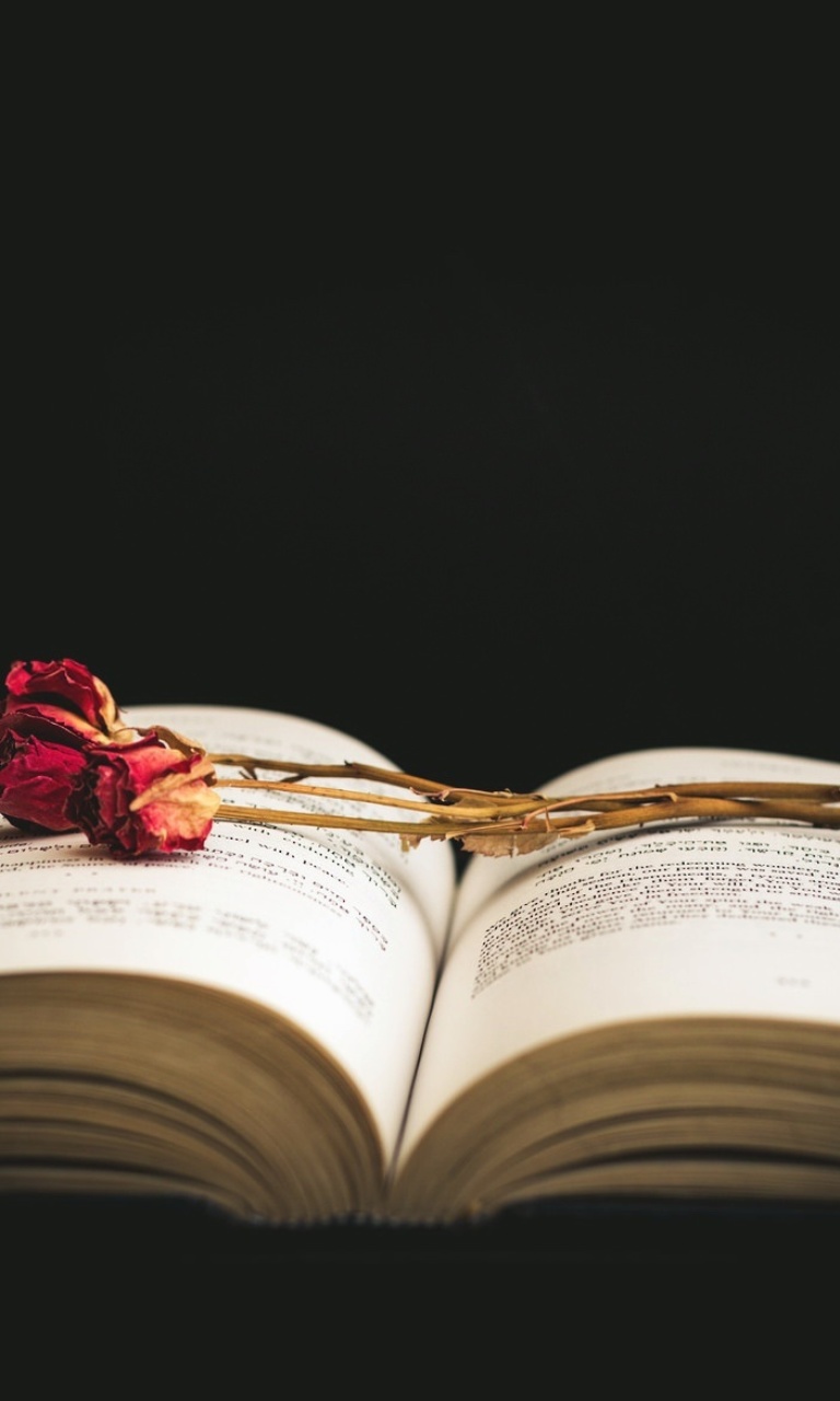 Rose and Book wallpaper 768x1280