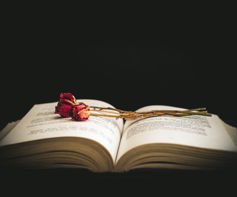 Rose and Book wallpaper 960x800