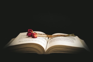 Rose and Book Wallpaper for Android, iPhone and iPad