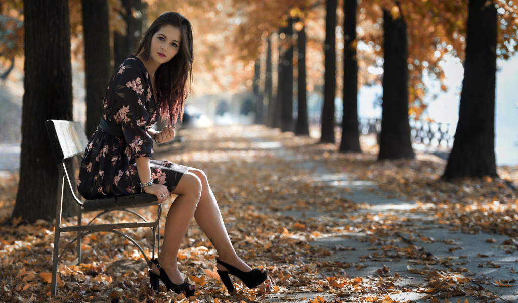 Das Caucasian joy girl in autumn park Wallpaper 1024x600