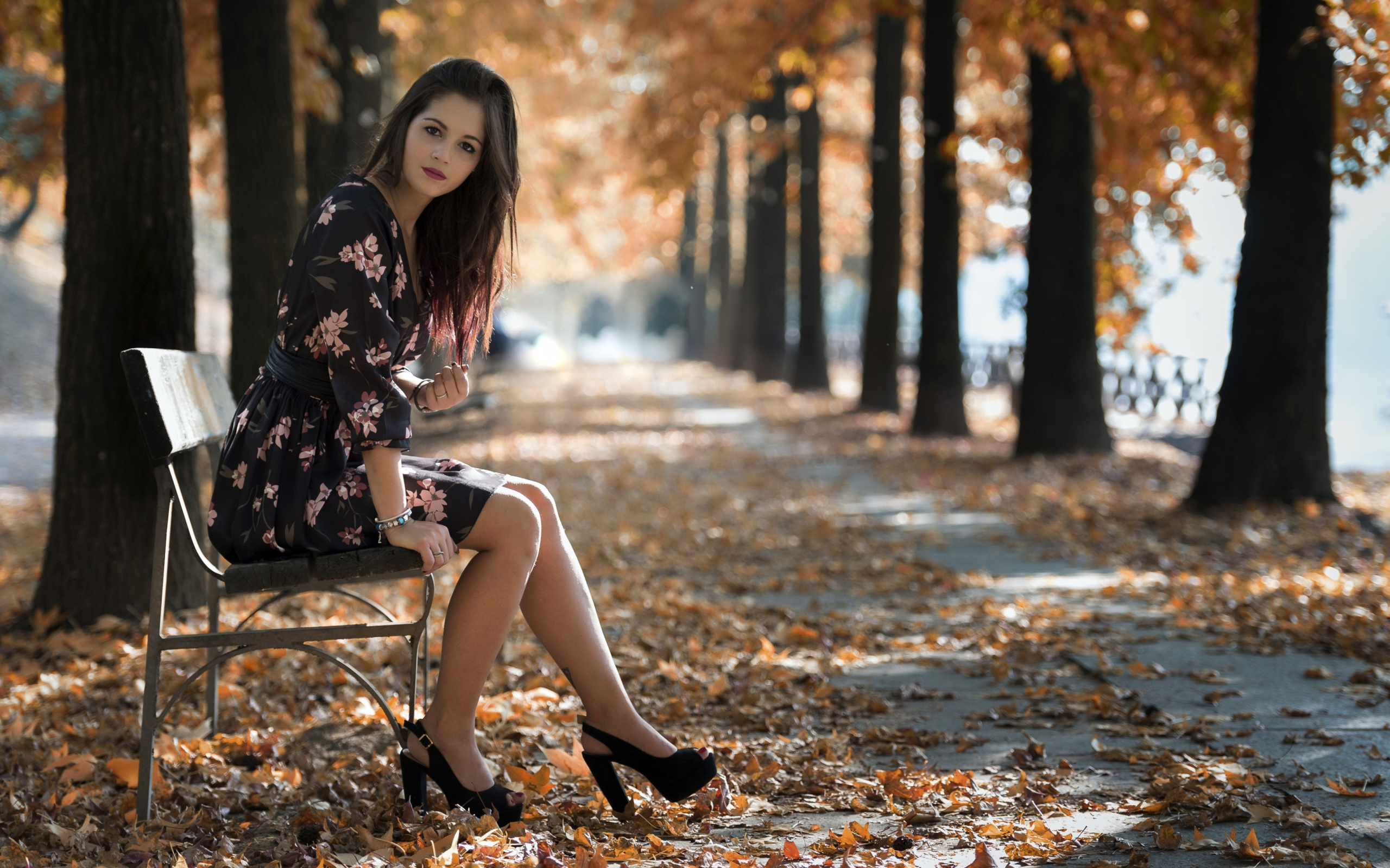 Обои Caucasian joy girl in autumn park 2560x1600