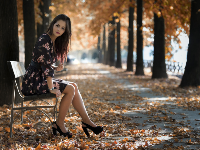 Das Caucasian joy girl in autumn park Wallpaper 640x480