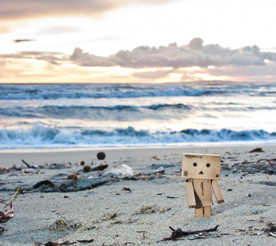 Fondo de pantalla Danbo On The Beach 1080x960