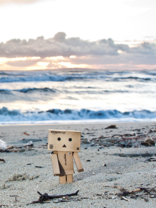 Danbo On The Beach - Obrázkek zdarma pro Nokia C6