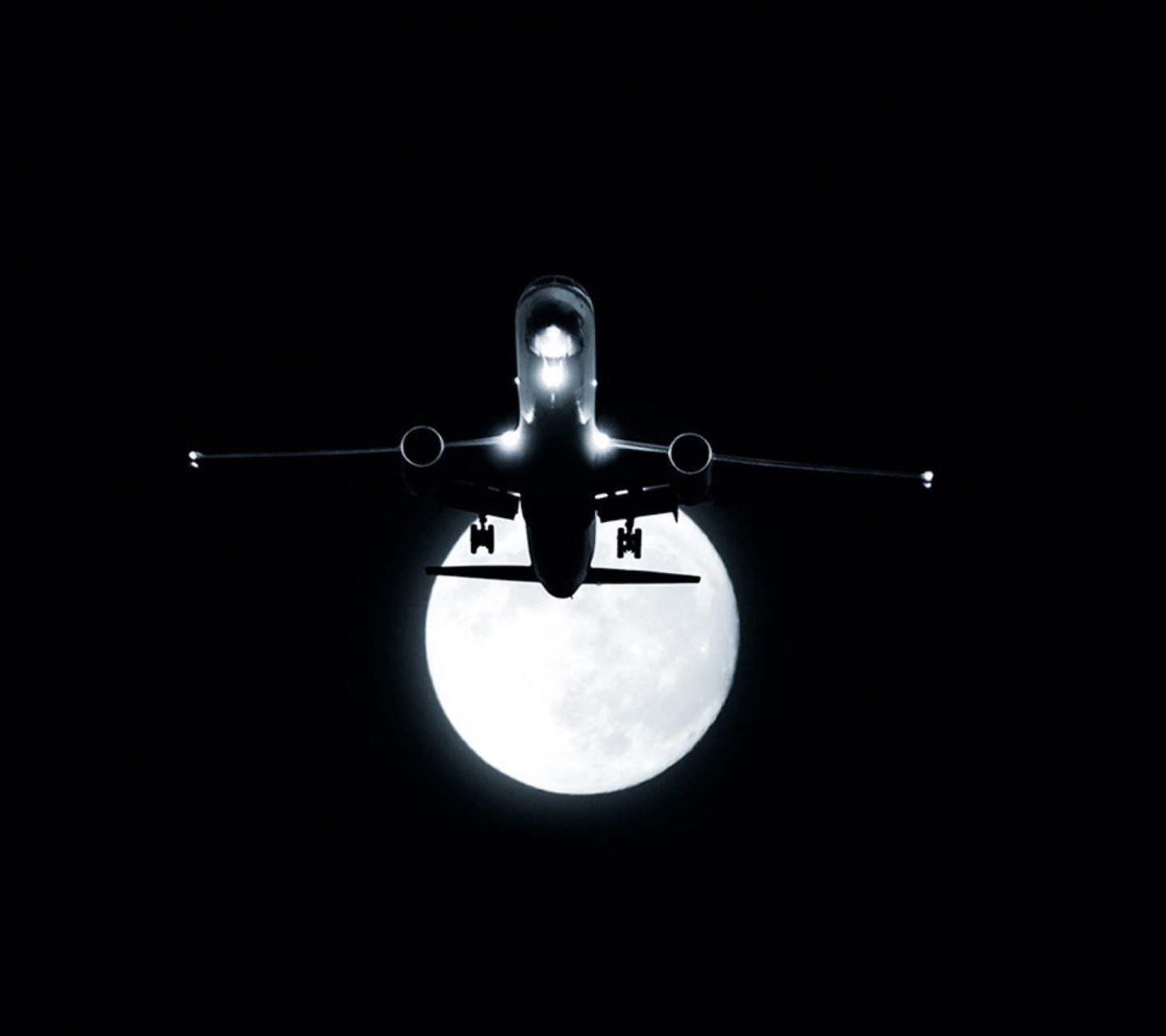 Sfondi Night Flight 1440x1280