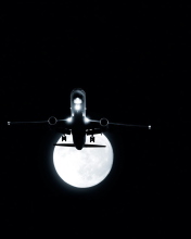 Screenshot №1 pro téma Night Flight 176x220