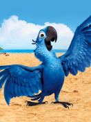 Fondo de pantalla Rio, Blu Parrot 132x176