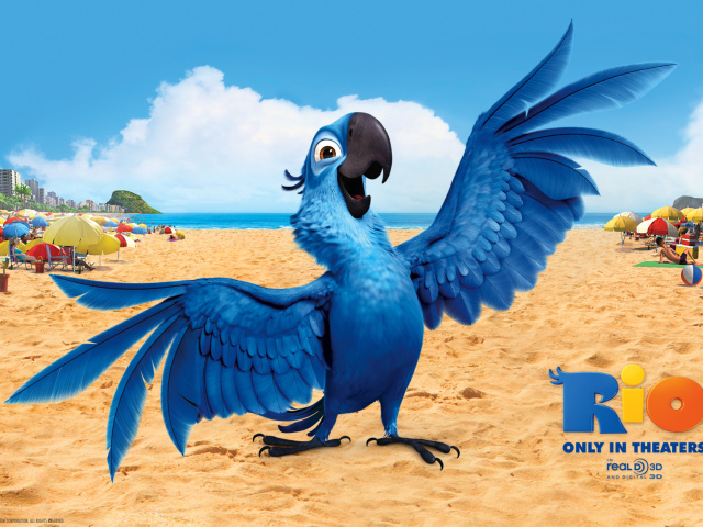 Das Rio, Blu Parrot Wallpaper 640x480