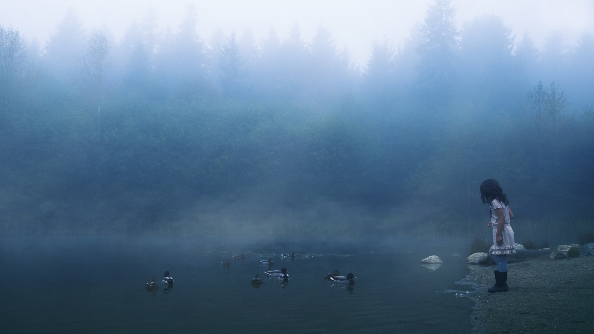 Child Feeding Ducks In Misty Morning screenshot #1 1920x1080