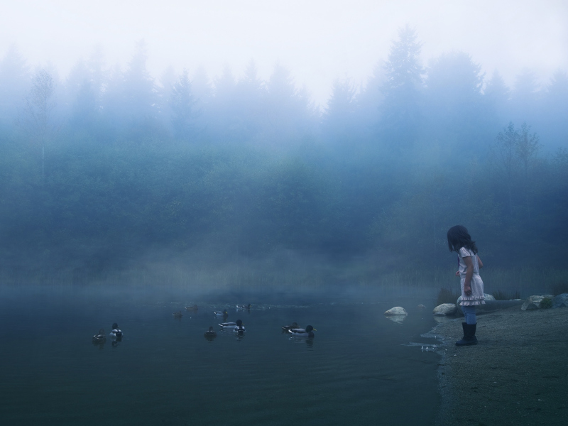 Sfondi Child Feeding Ducks In Misty Morning 800x600