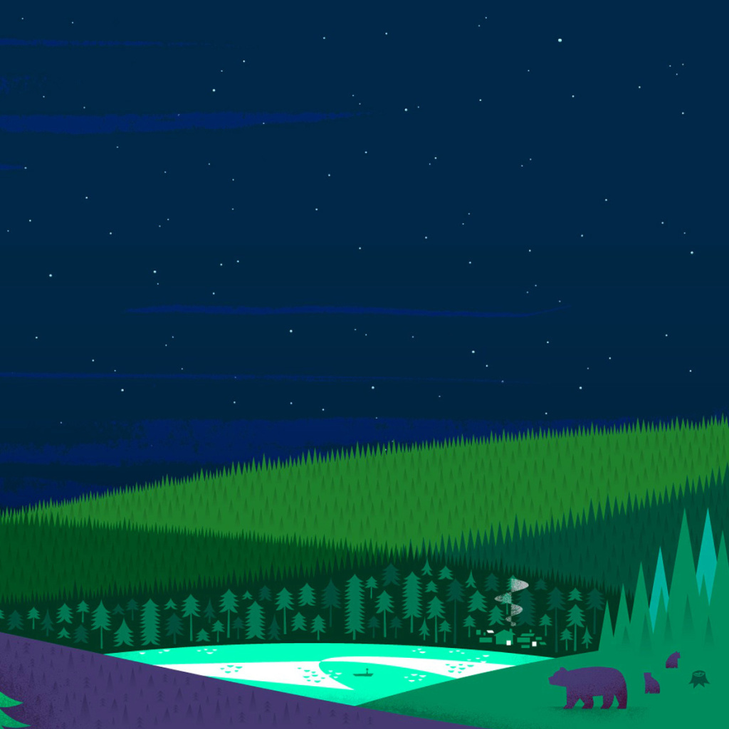 Graphics night and bears in forest wallpaper 1024x1024