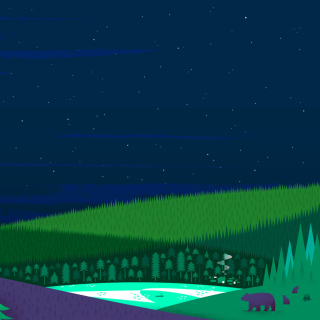 Graphics night and bears in forest - Fondos de pantalla gratis para 128x128