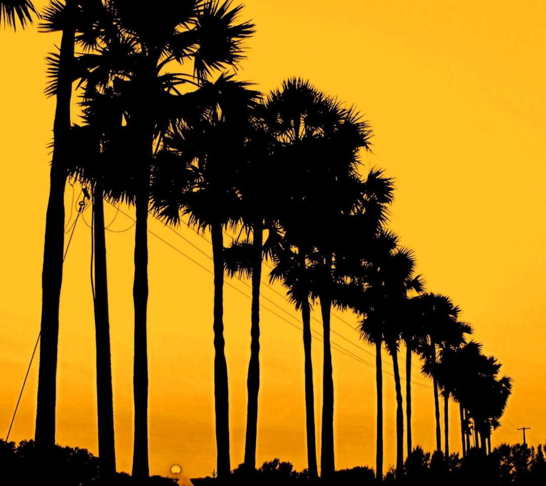 Das Sunset Palms Wallpaper 1080x960
