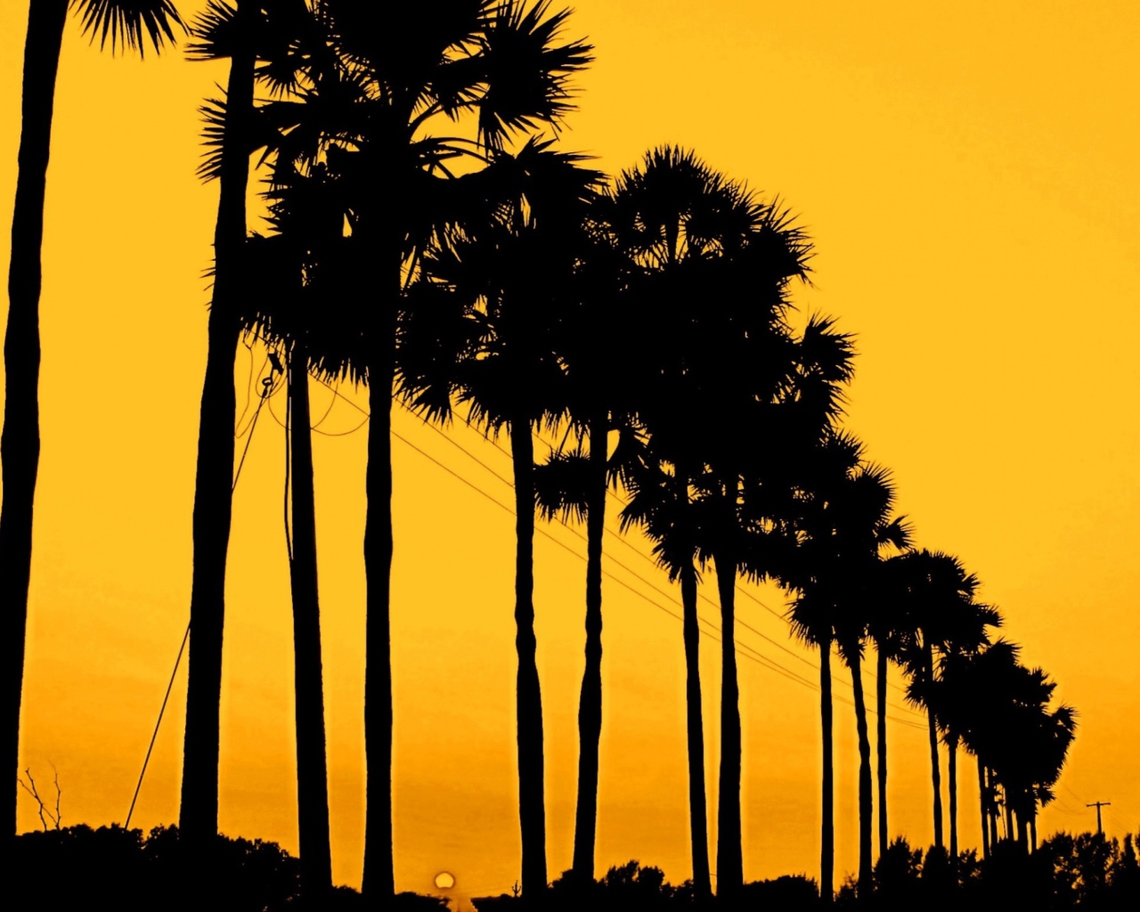 Sunset Palms screenshot #1 1280x1024