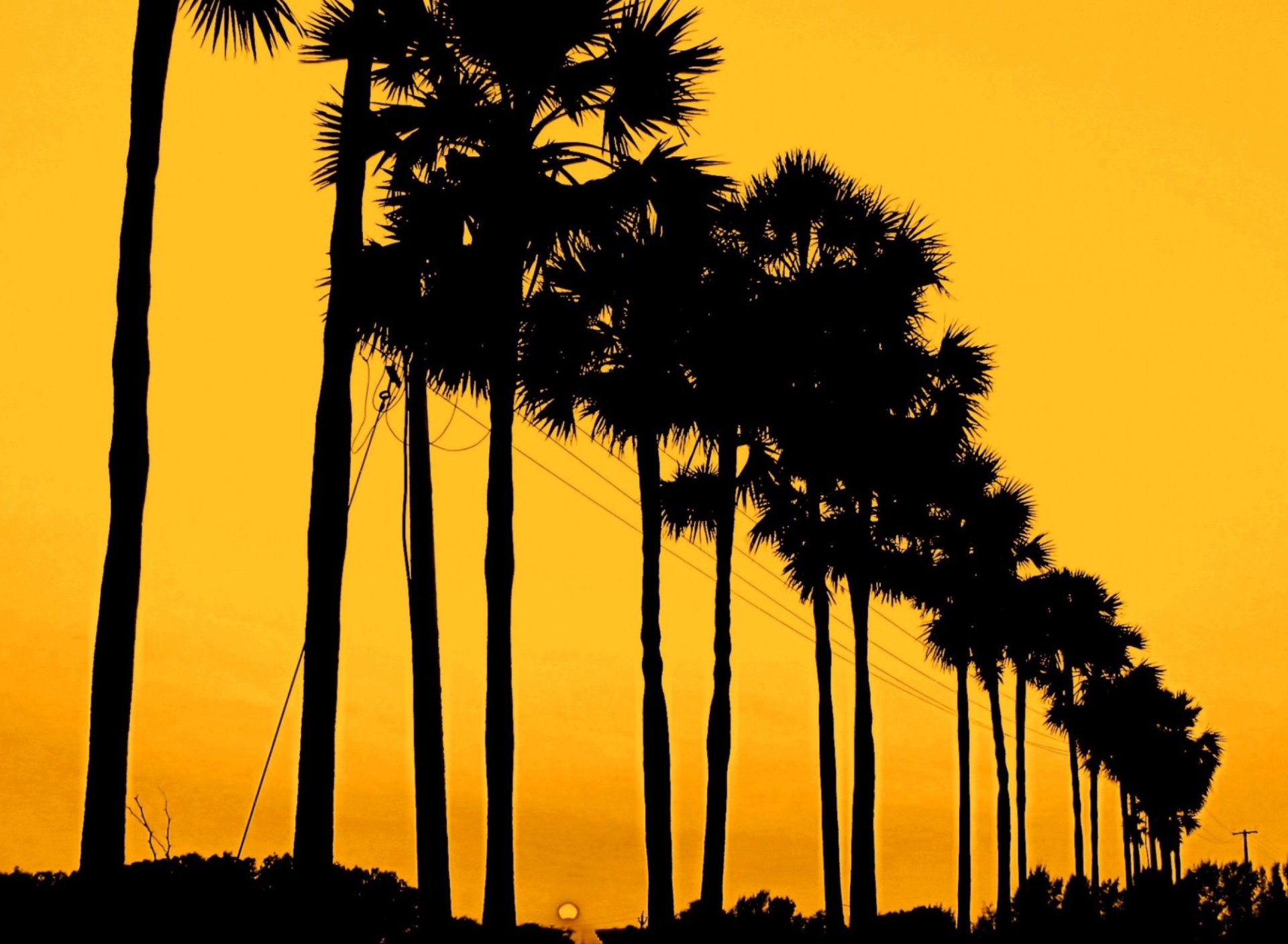 Screenshot №1 pro téma Sunset Palms 1920x1408