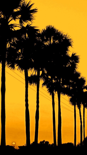 Screenshot №1 pro téma Sunset Palms 360x640