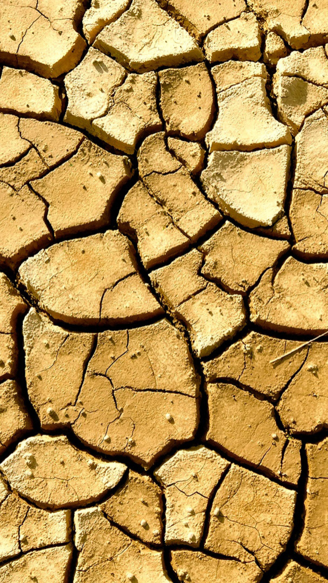 Das Dry Ground Wallpaper 1080x1920