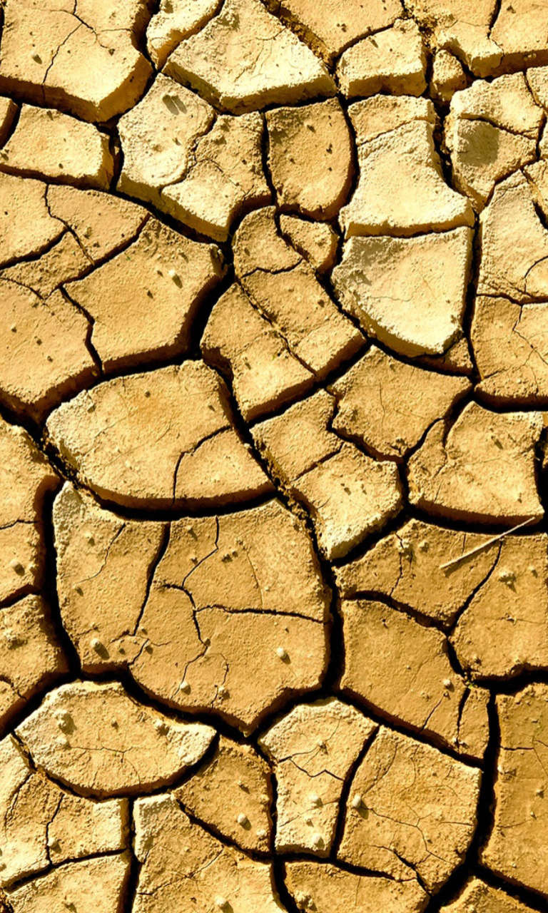 Dry Ground wallpaper 768x1280