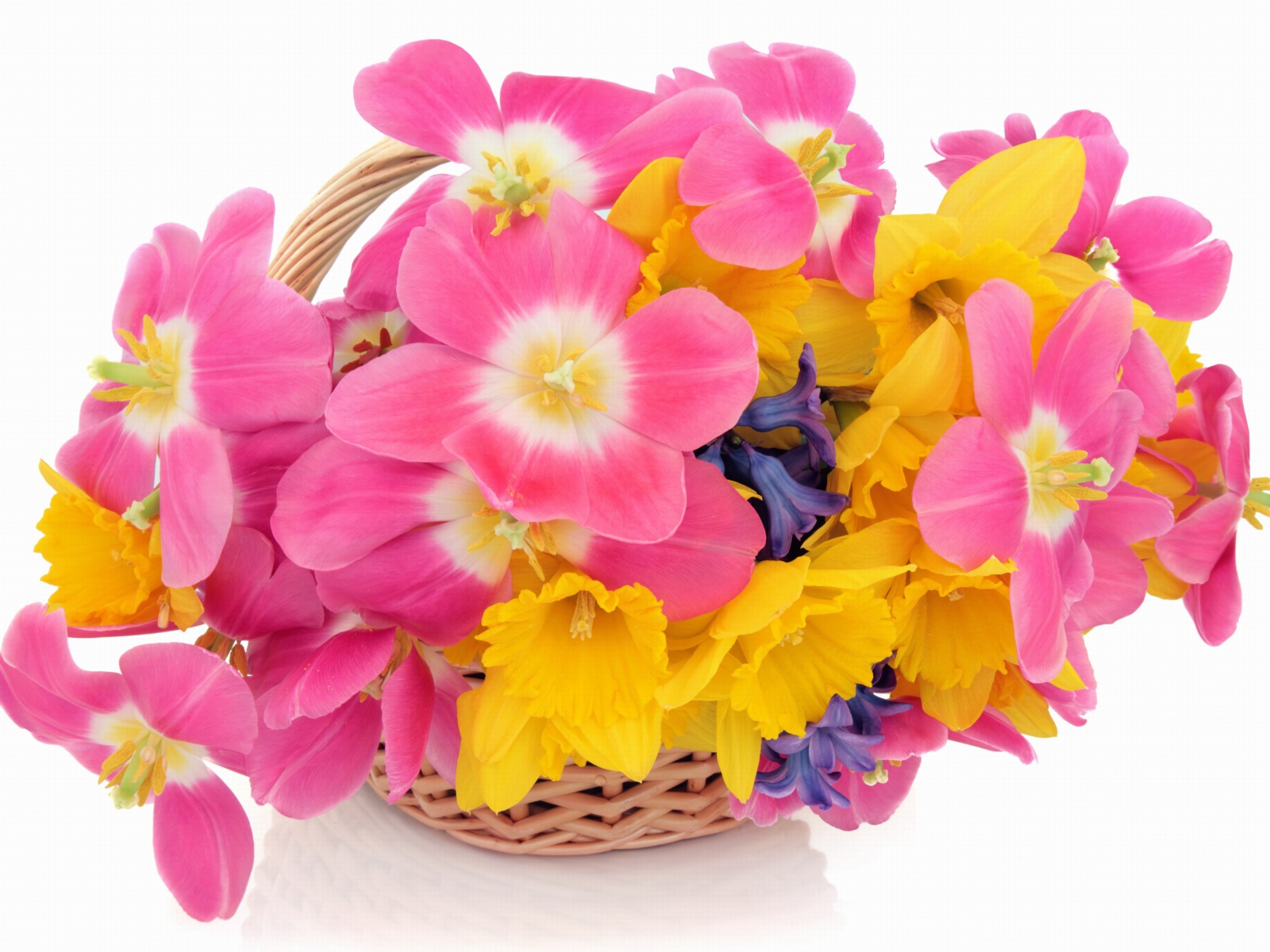 Indoor Basket of Tulips and Daffodils wallpaper 1600x1200