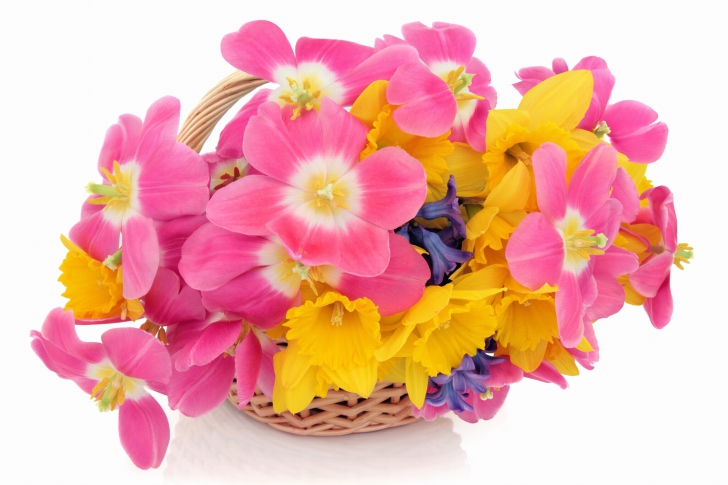 Indoor Basket of Tulips and Daffodils wallpaper