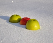 Обои Apples in Snow 176x144