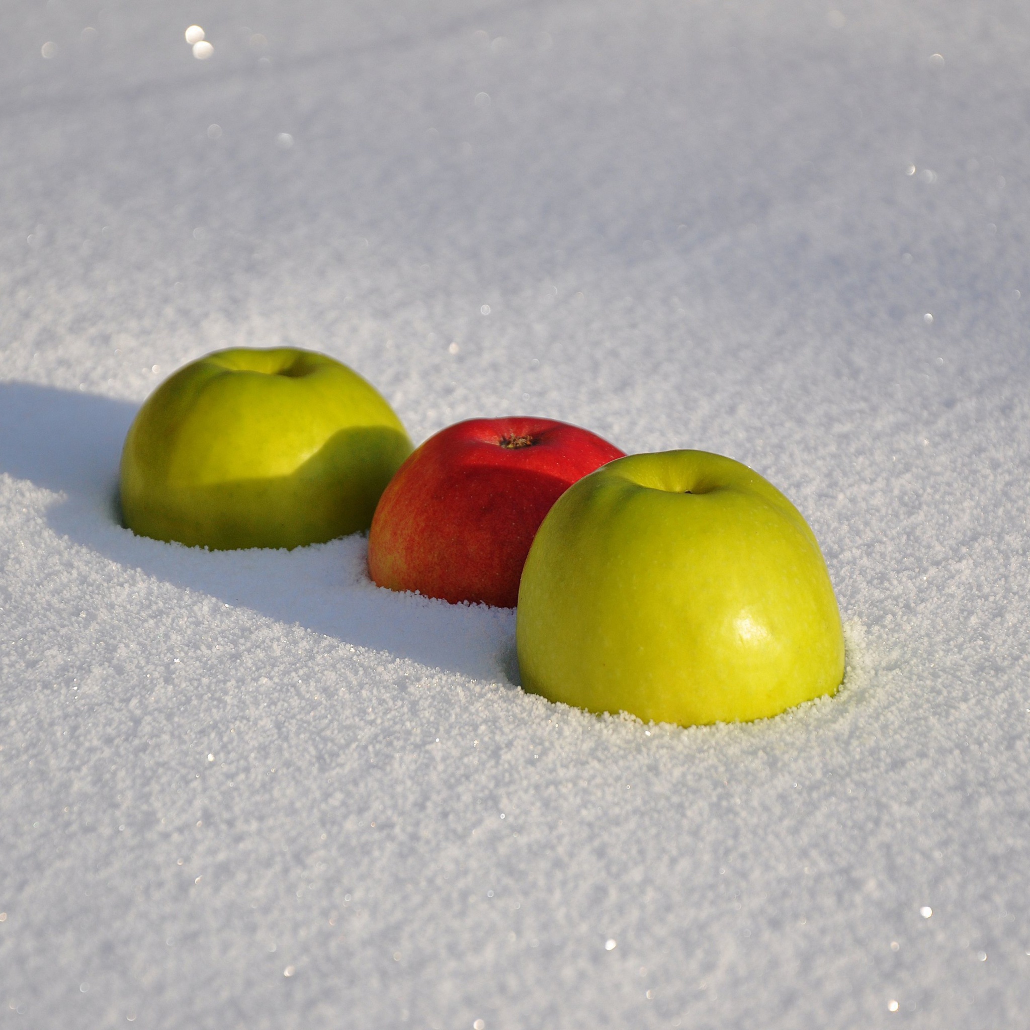 Apples in Snow screenshot #1 2048x2048