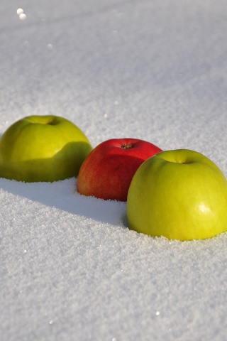 Fondo de pantalla Apples in Snow 320x480