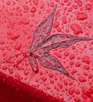 Rainy Red Autumn - Obrázkek zdarma pro iPad mini 2