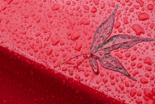 Rainy Red Autumn Background for Android, iPhone and iPad