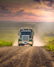 American Truck wallpaper 176x220