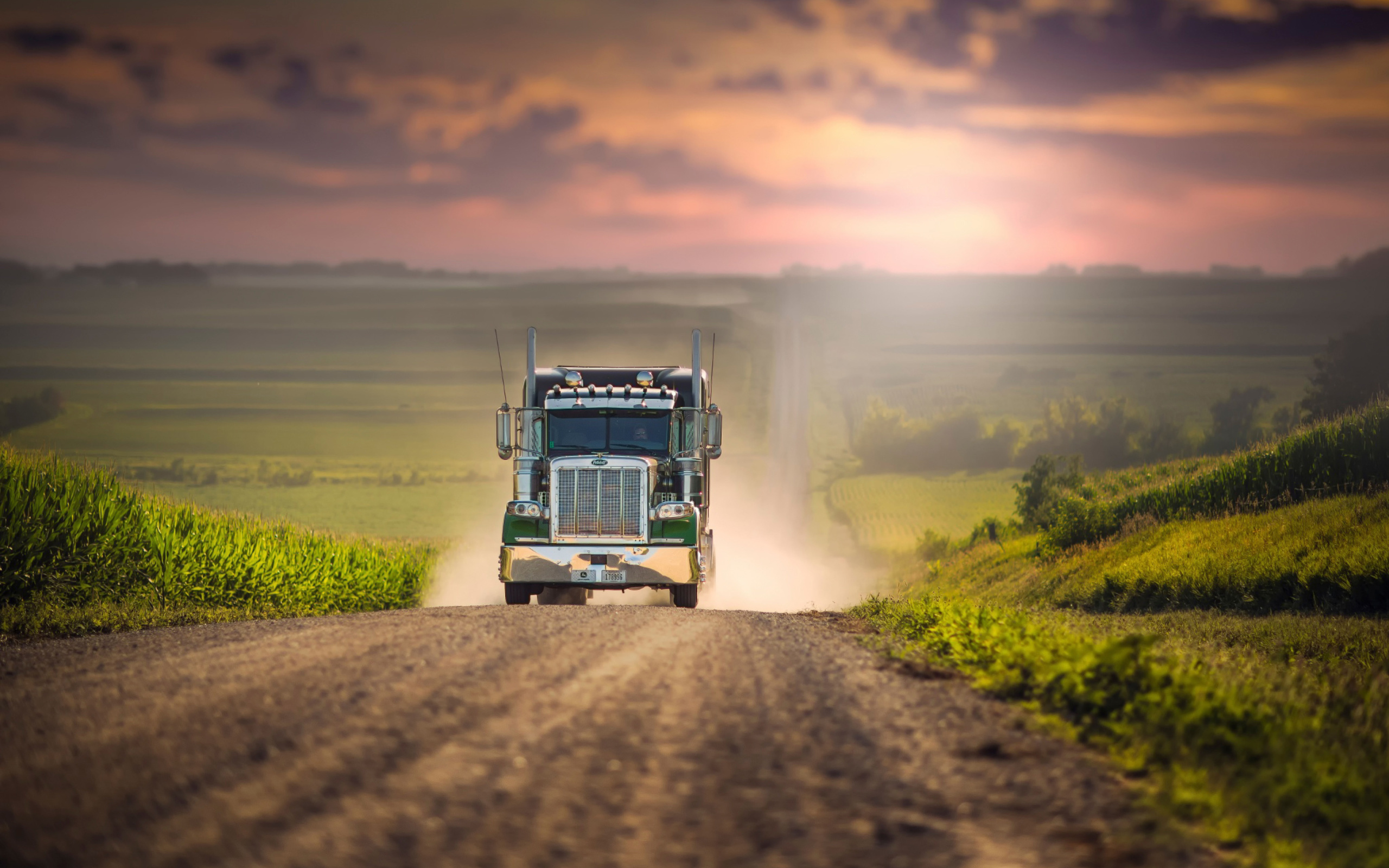 Das American Truck Wallpaper 2560x1600