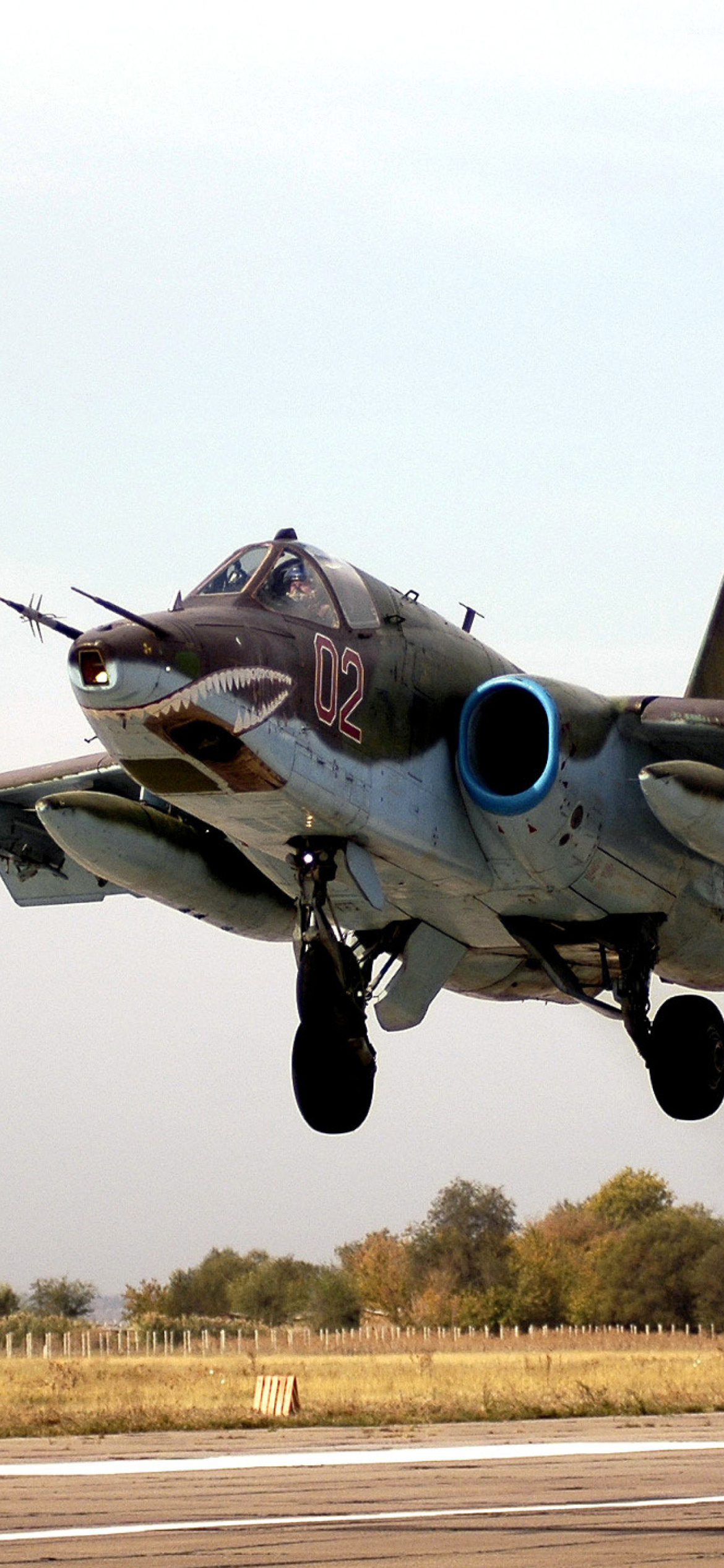Screenshot №1 pro téma Sukhoi Su 25 Frogfoot Ground Attack Aircraft 1170x2532
