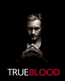 Обои True Blood 128x160