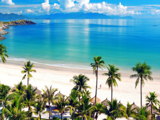 Fiji Tropical Beach screenshot #1 320x240
