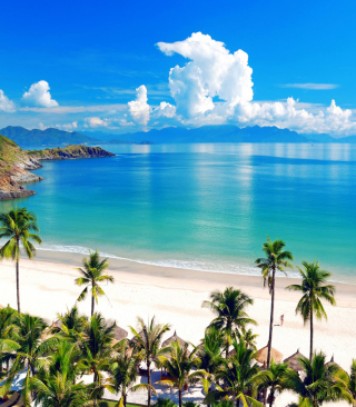 Fiji Tropical Beach - Obrázkek zdarma pro 240x320