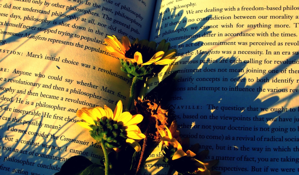 Das Book And Flowers Wallpaper 1024x600