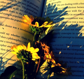 Book And Flowers - Fondos de pantalla gratis para 128x128