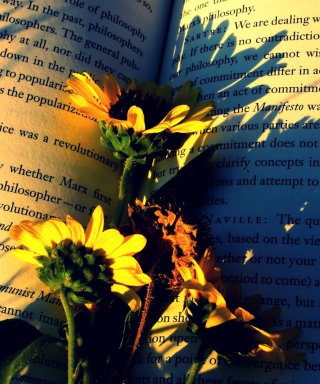 Book And Flowers - Obrázkek zdarma pro iPhone 5