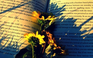 Book And Flowers - Obrázkek zdarma 
