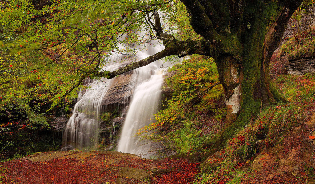 Das Path in autumn forest and waterfall Wallpaper 1024x600