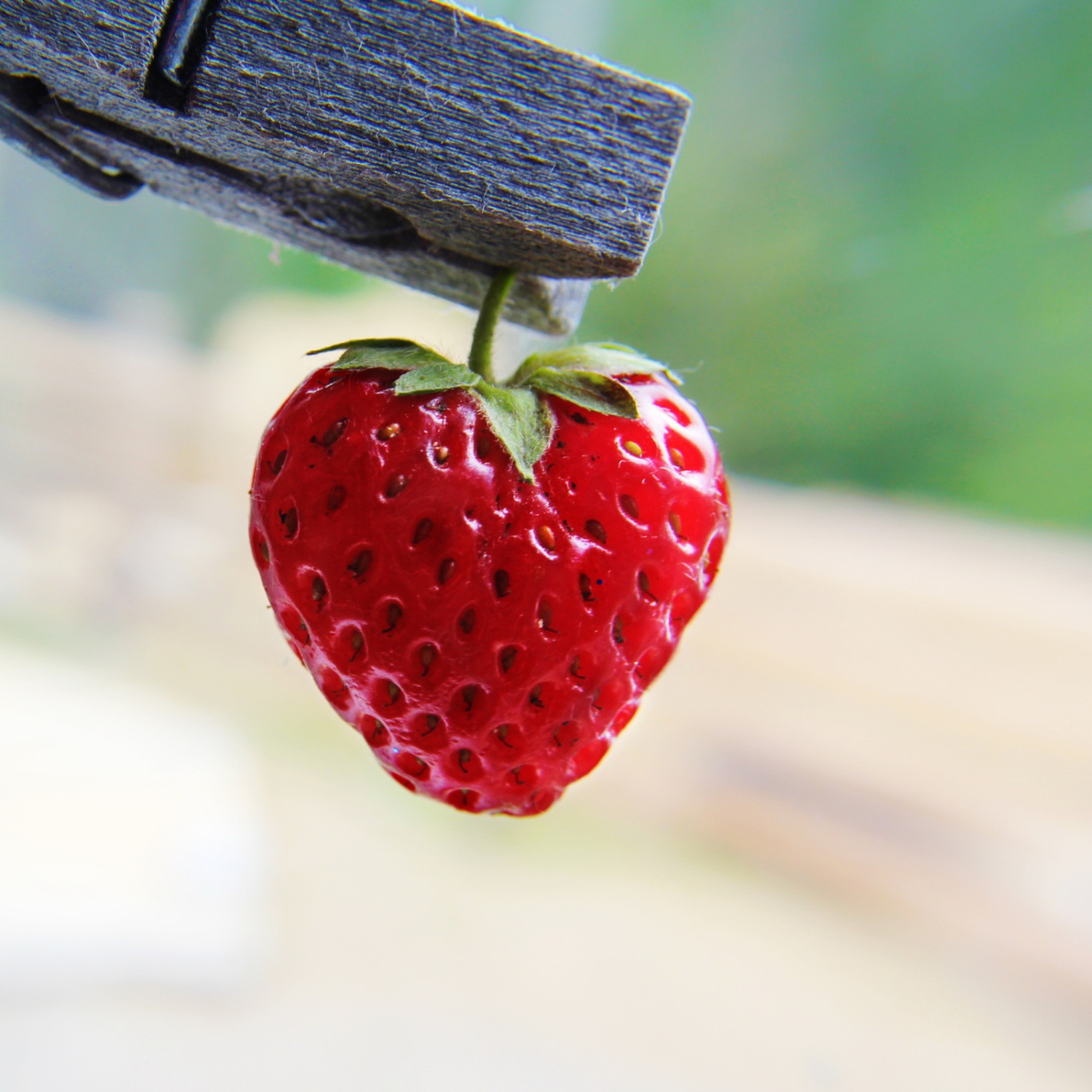 Sfondi Red Strawberry Heart 2048x2048