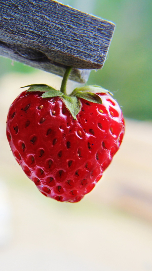 Red Strawberry Heart wallpaper 640x1136