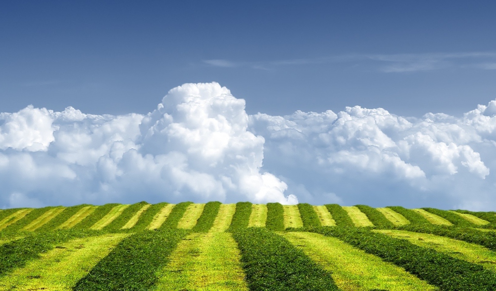 White Clouds And Green Field screenshot #1 1024x600