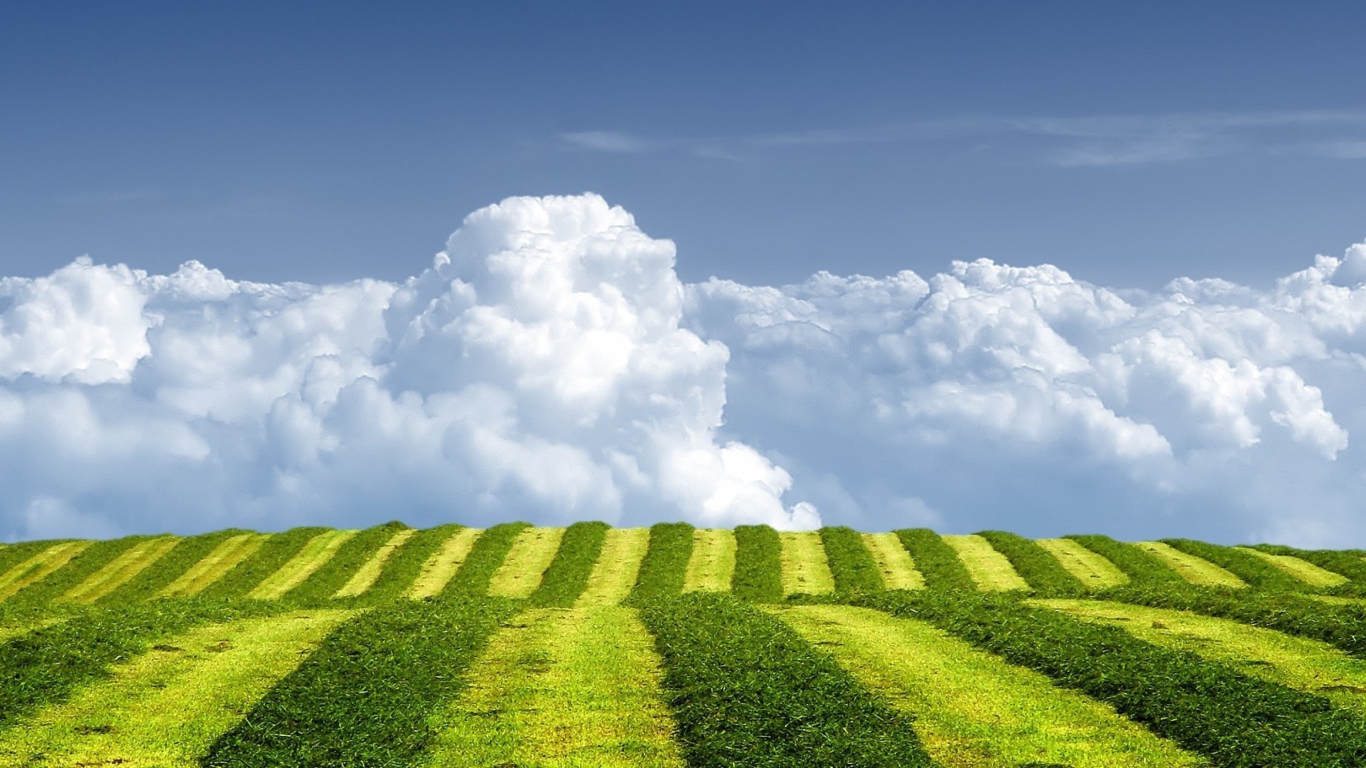 White Clouds And Green Field screenshot #1 1366x768