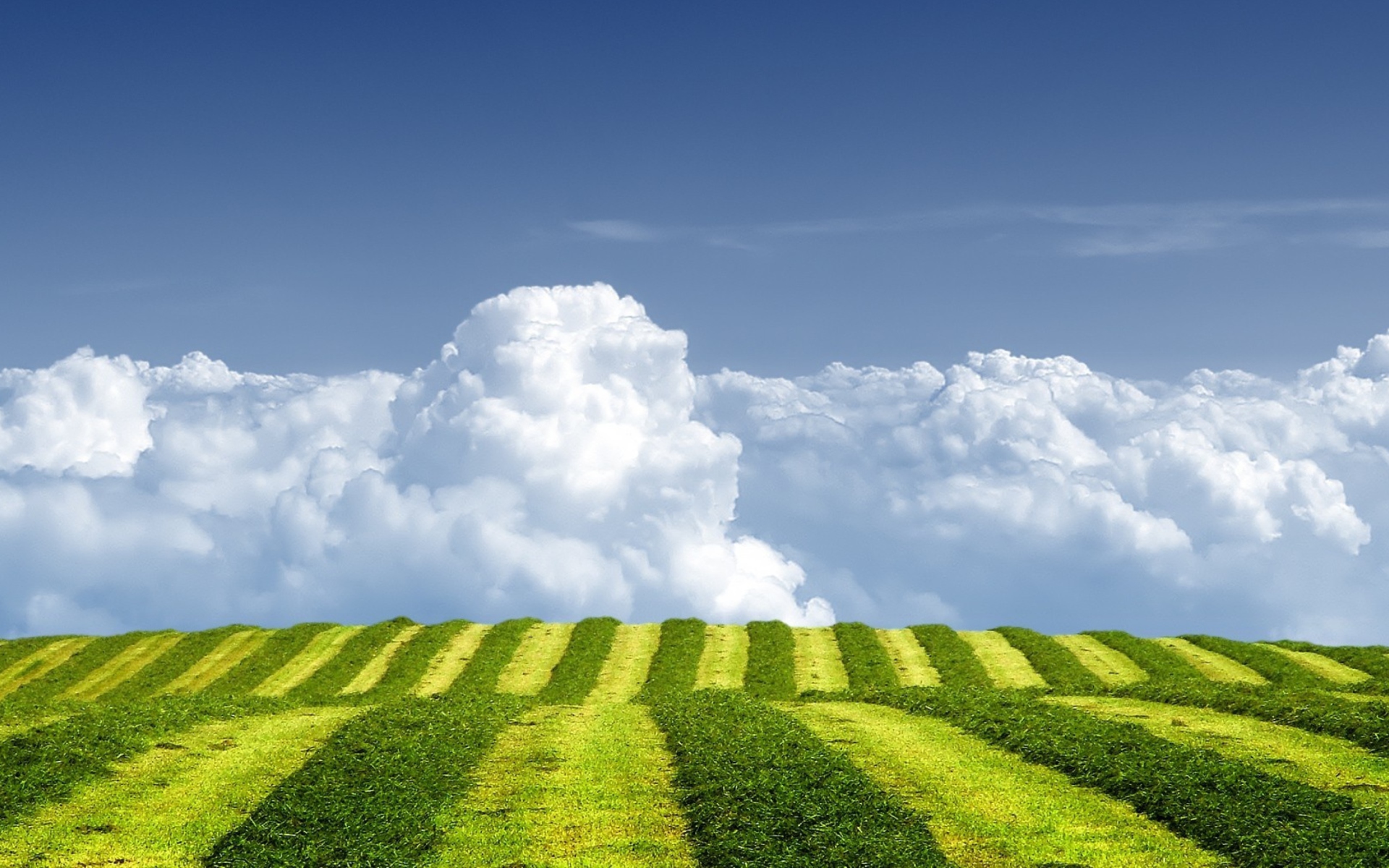 Screenshot №1 pro téma White Clouds And Green Field 1920x1200