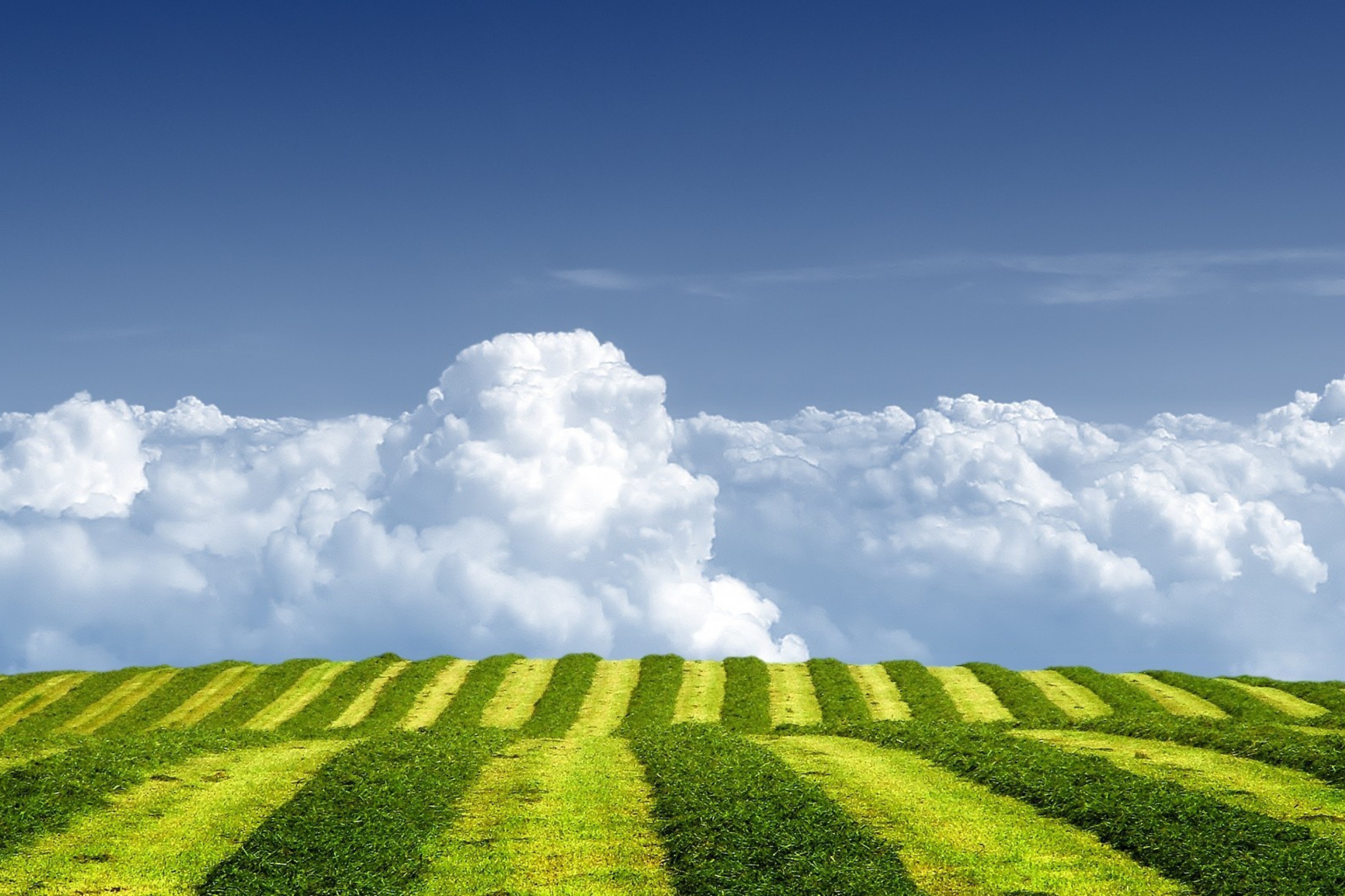 Das White Clouds And Green Field Wallpaper 2880x1920
