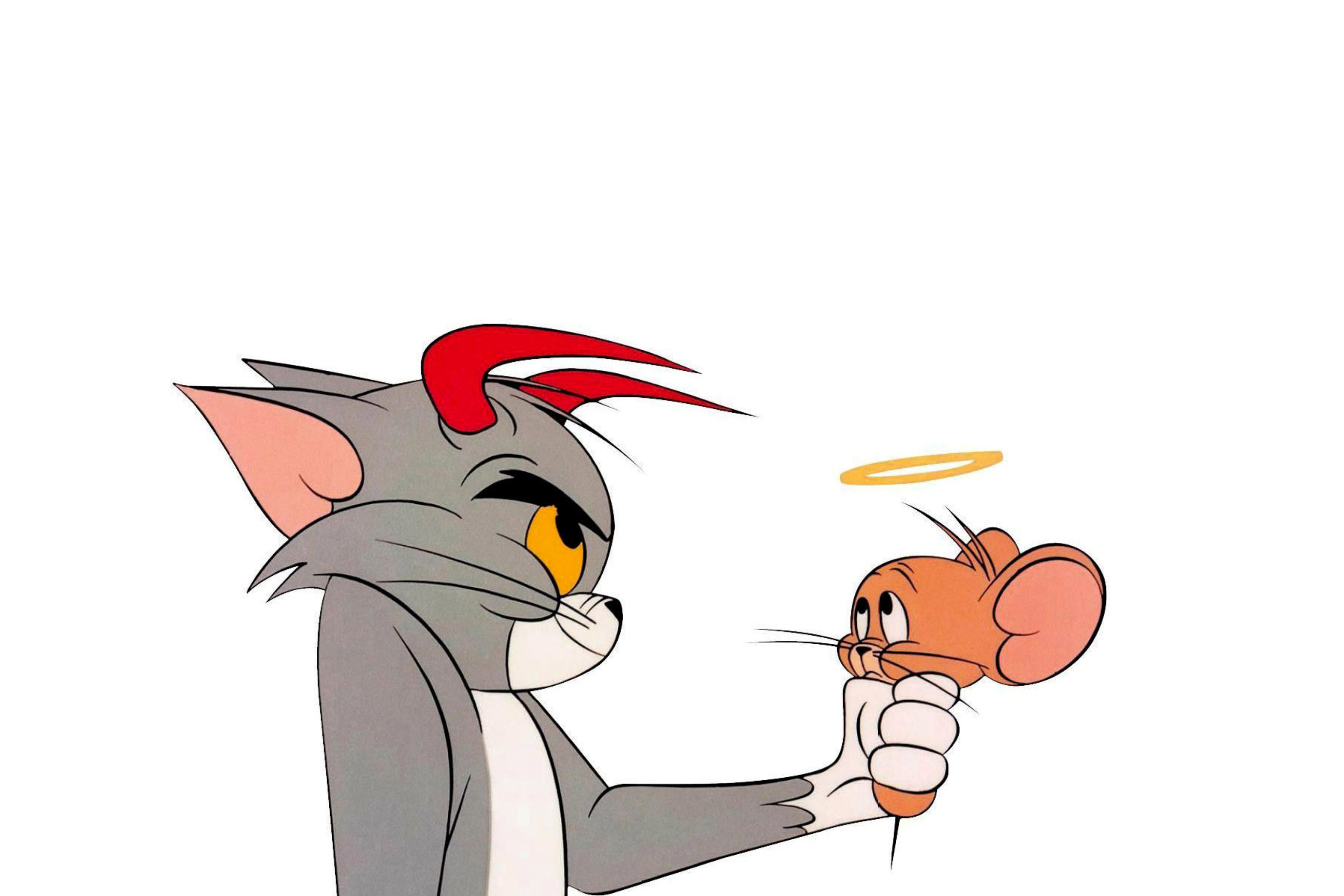 Fondo de pantalla Tom and Jerry 2880x1920