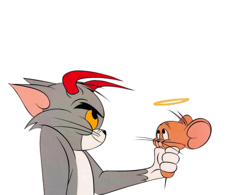 Обои Tom and Jerry 480x400